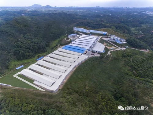 茂名也有牧場(chǎng) 有,這兩個(gè)還入選了廣東首批十大美麗牧場(chǎng)