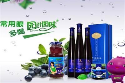 園汁園味飲品加盟 大連市場的機(jī)遇與前景